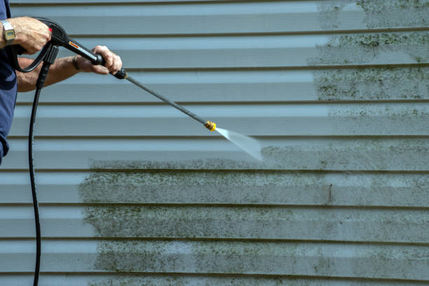 Best Exterior Home Cleaning  in Port Byron, IL