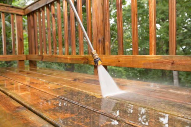 Best Local Pressure Washing Services  in Port Byron, IL